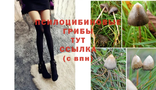 a pvp Сясьстрой