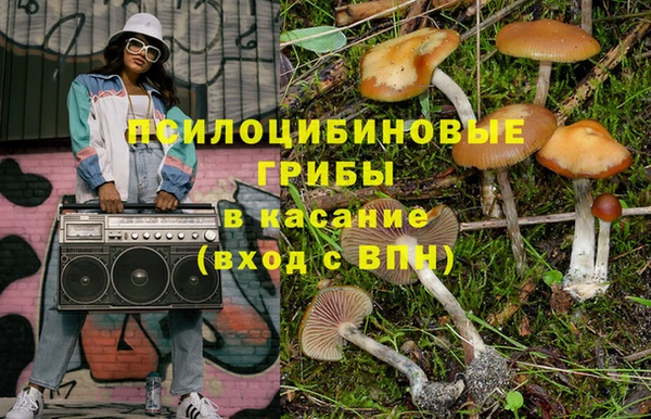 дживик Беломорск