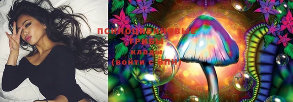 дурь Белоозёрский